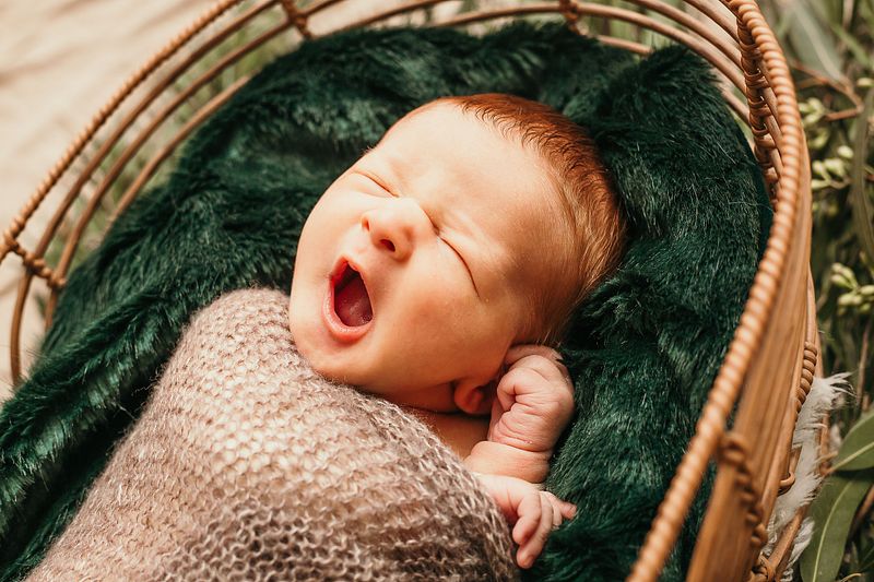 Baby Archer