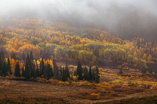 Autumn Hills