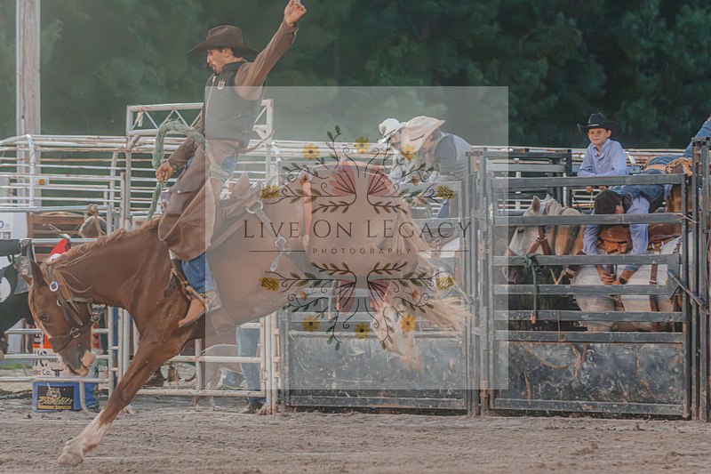 Broncs