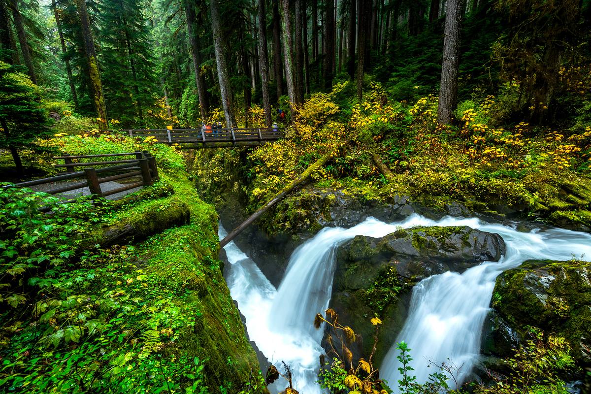 Sol Duc Falls, Olympic National Park