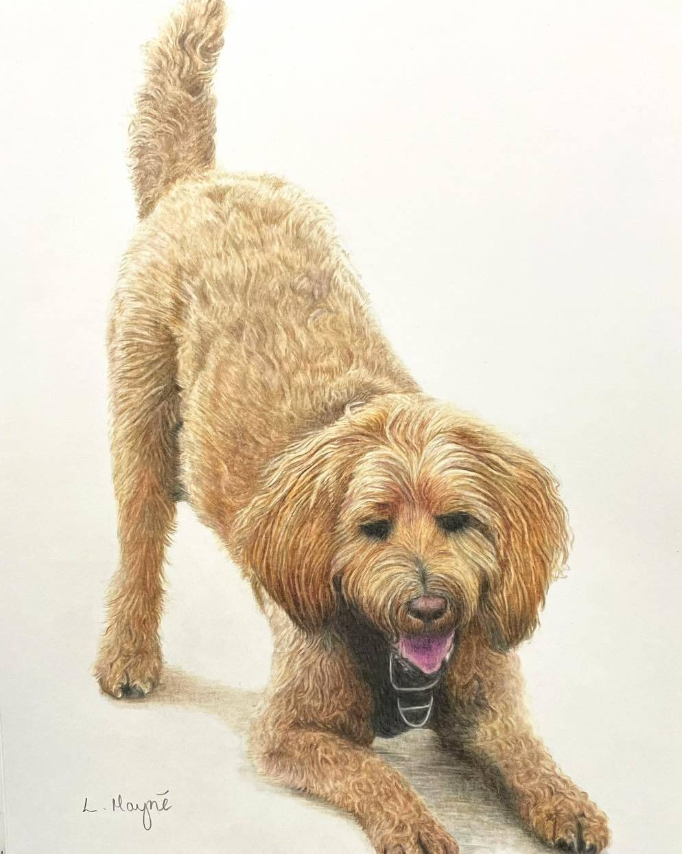 Australian Labradoodle Pet Portrait, Australian Labradoodle, Labradoodle, Labradoodle Pet Portrait, Australian Labradoodle pet portrait, Dog on beach art, dog playing on beach art, dog playing portrait, dog play bowing art, dog play bowing portrait,