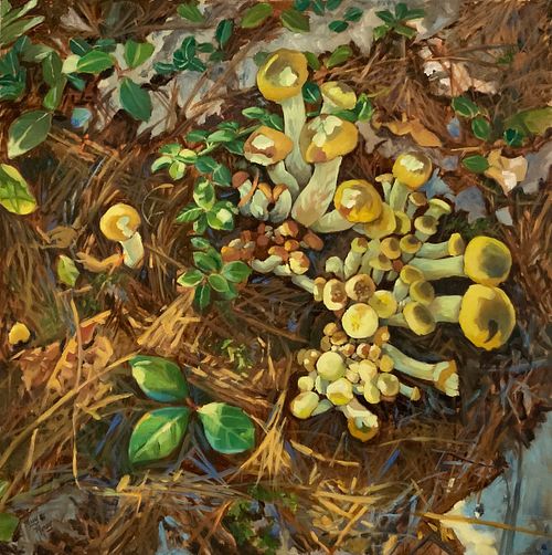 Forest Floor