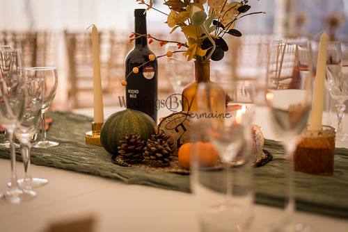 hinckley-wedding-leicestershire-weddings-by-jermaine