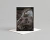 Otter Card Pack