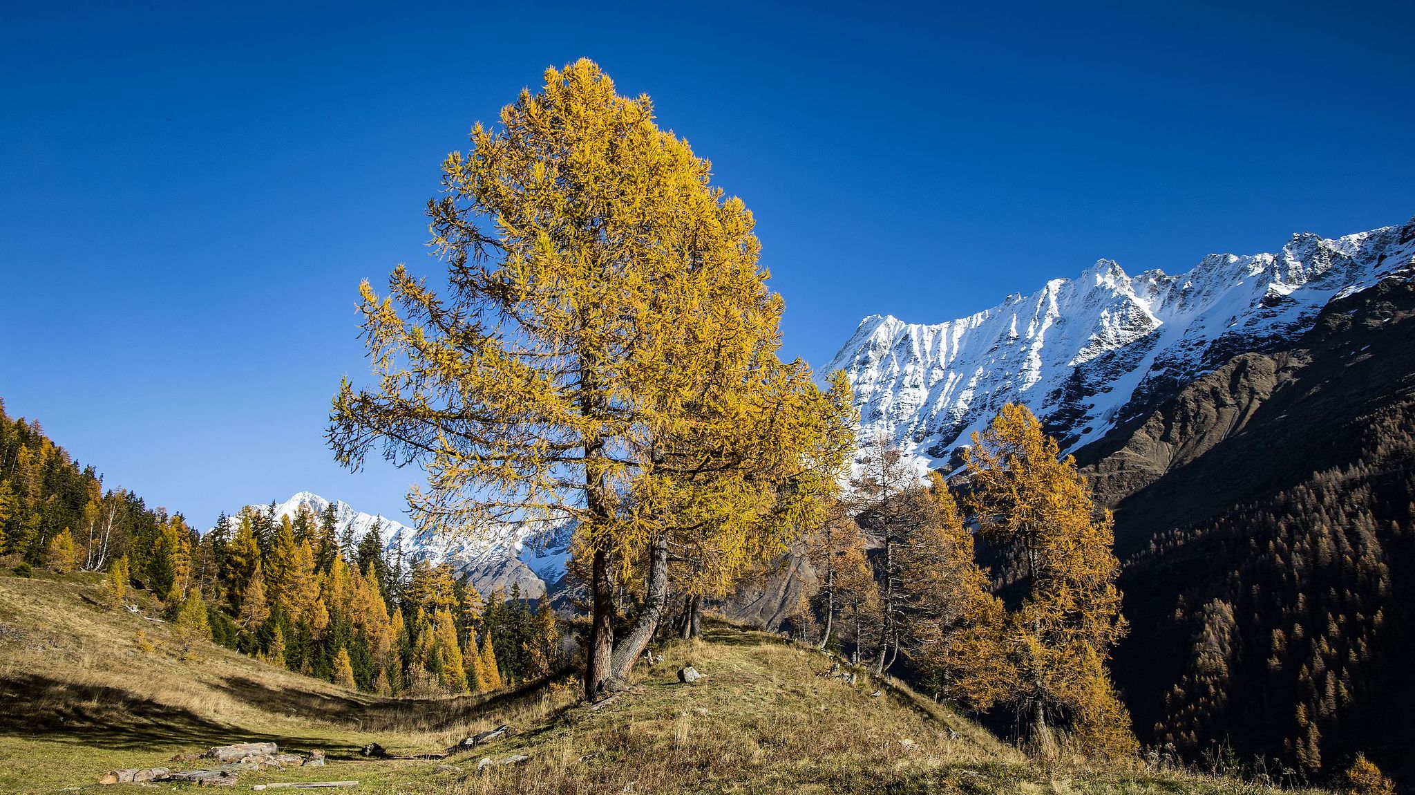 Im Lötschental