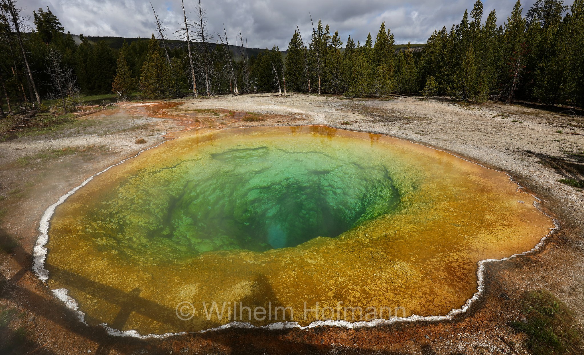 Morning Glory Pool, Upper Geyser Basin, Yellowstone National Park, Yellowstone-Nationalpark﻿, parco nazionale di Yellowstone, Wyoming, USA
