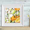 Orange Blossom & Citrus Fruit | Botanical Art Print