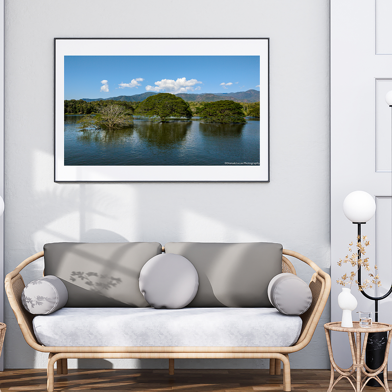 THE ONE - AERIAL PRINTS - "Standing in Water" - LIMITED EDITION 5 of 5