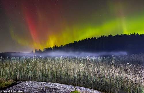 SARPSBORG PHOTOGRAPHY & NATURE