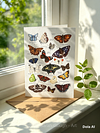 British Meadow Butterflies | Art Card | with Envelope