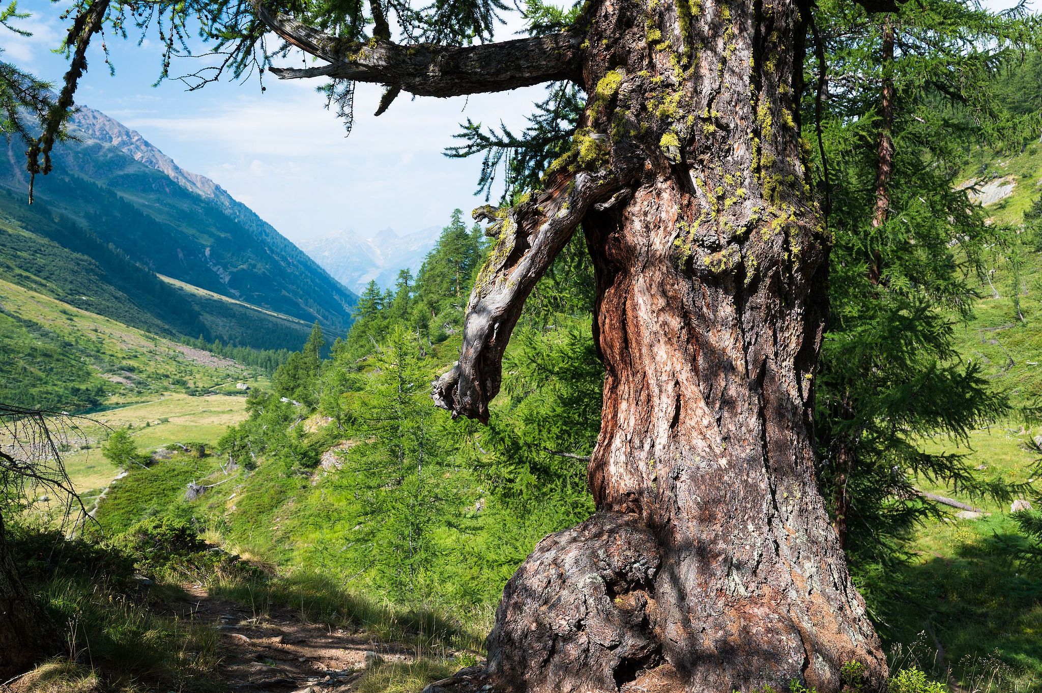 Lötschental