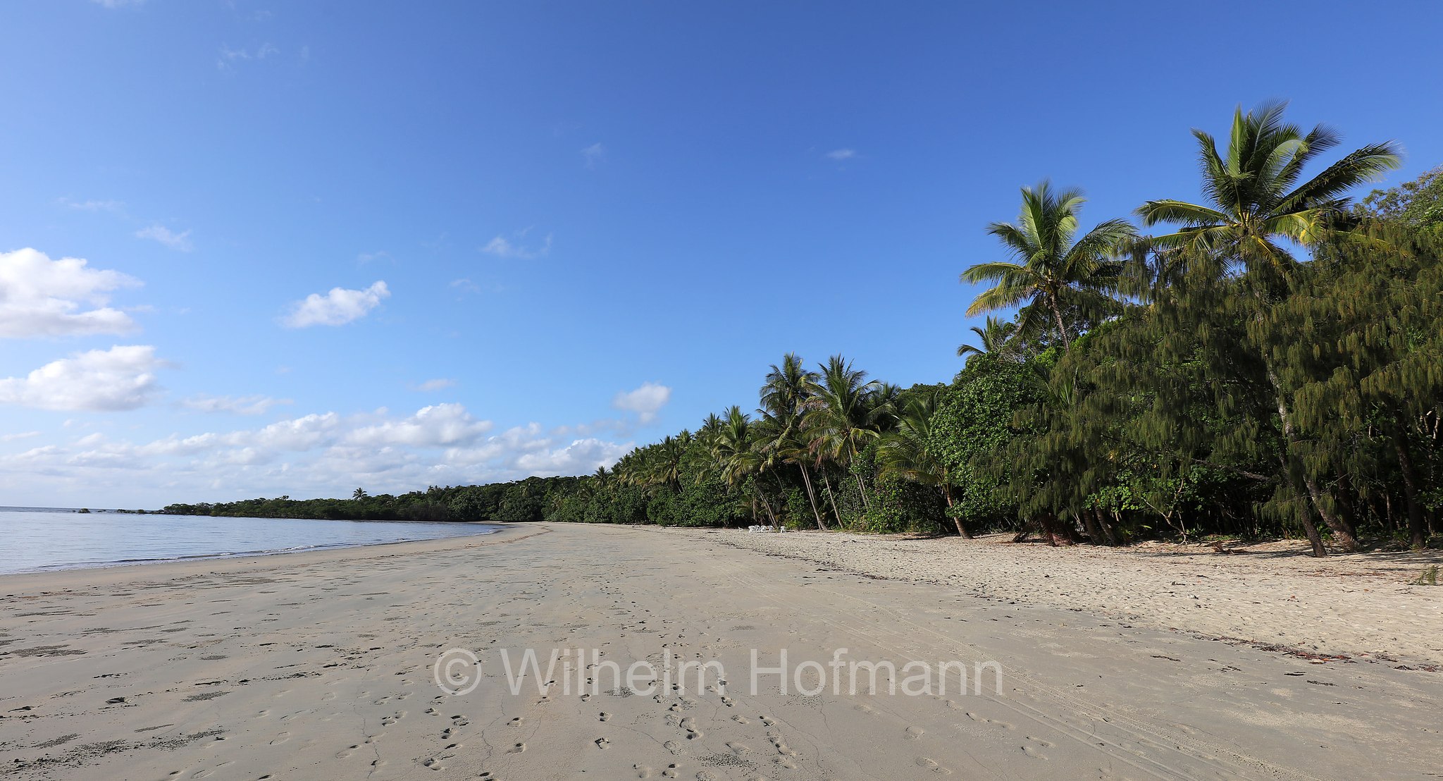 Cape Tribulation, Daintree National Park, Daintree-Nationalpark, Parco nazionale Daintree, Queensland, Australia, Australien
