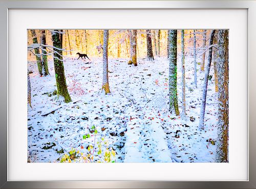 Explore my work