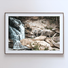 THE ONE - WILDLIFE & NATURE - "Their Waterfall" - LIMITED EDITION 5 of 5