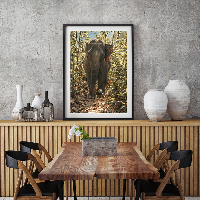 COLLECTION - GIANTS OF THE LAND VERTICAL - "Good Light" - LIMITED EDITION 10 of 10