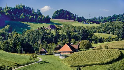 HOFHOLZ BEI WYNIGEN