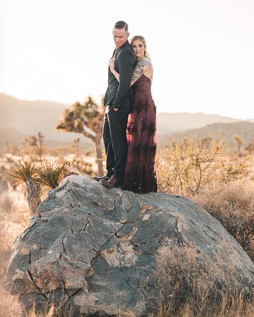 ENGAGEMENTS & PORTRAITS