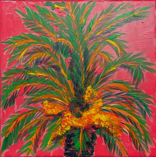 Palmier Fuschia