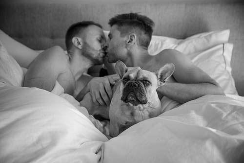 Same Sex Wedding 