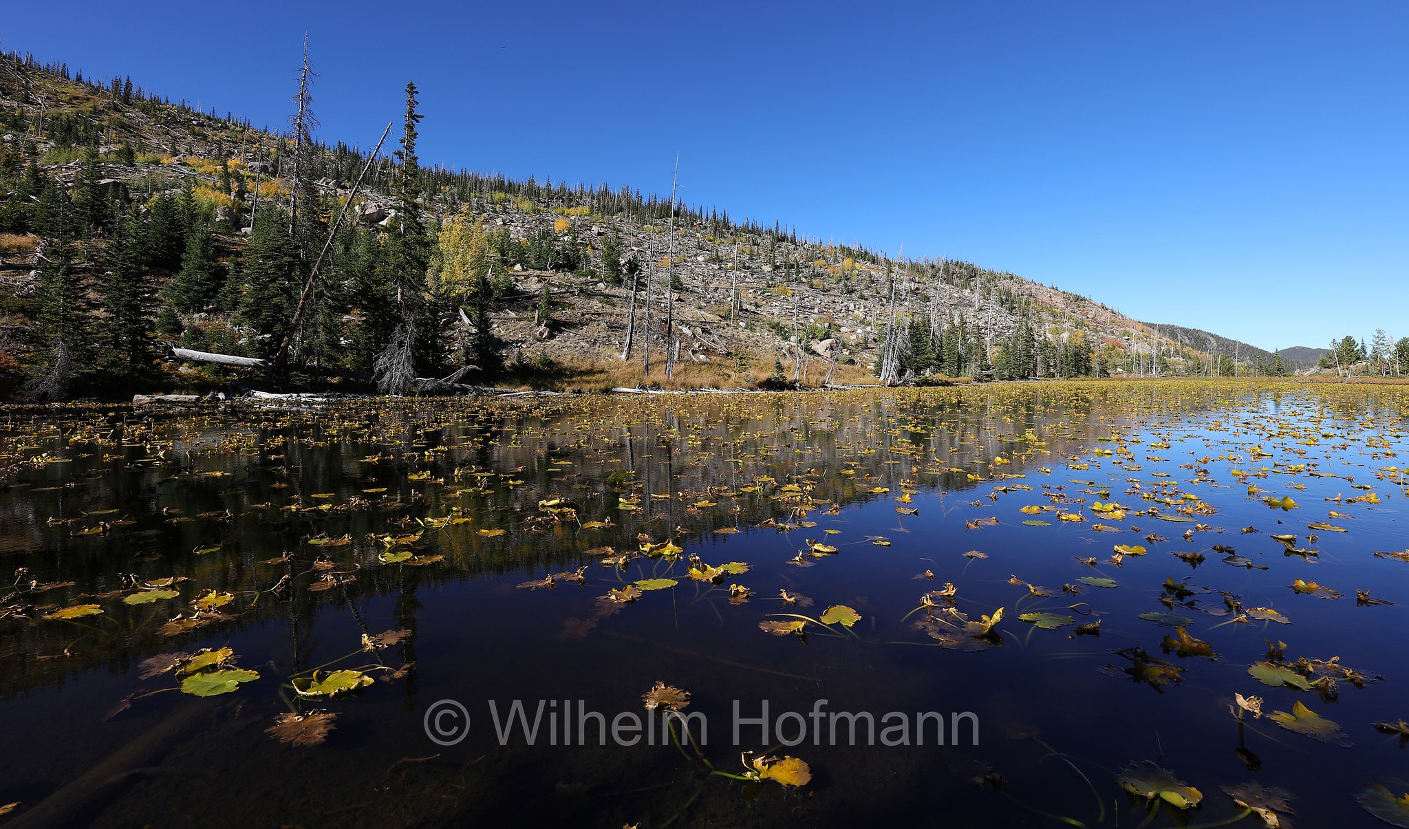 Chickadee Pond, Rocky Mountain National Park, Rocky-Mountain-Nationalpark, parco nazionale delle Montagne Rocciose, Colorado, USA