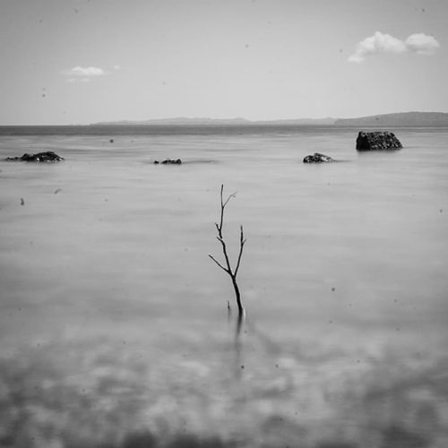 Photography in Progress