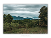 COLLECTION - GIANTS OF THE LAND HORIZONTAL -  "Before the Rain" - LIMITED EDITION 10 of 10