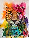 Leo the Leopard