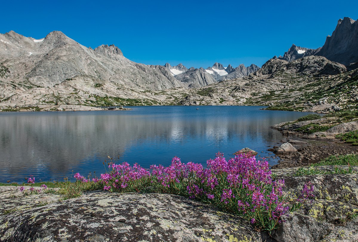 Titcomb Basin Floral Arrangement