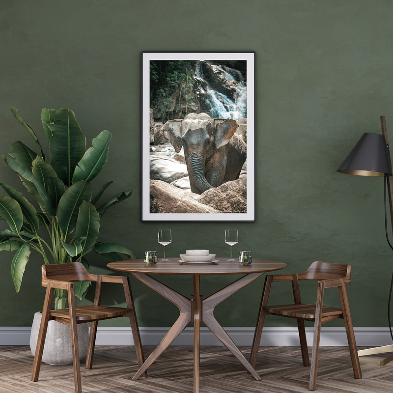THE ONE - WILDLIFE & NATURE - "Where the Water Runs" - LIMITED EDITION 5 of 5