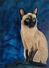 The Siamese Queen / La reina siamesa