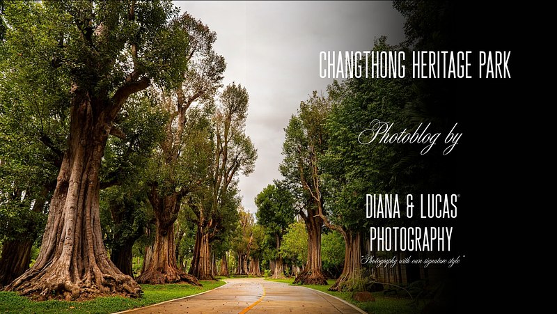 Changthong Heritage Park. Variety of Ancient Nature.