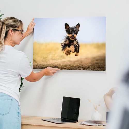 Artwork and Product Guide