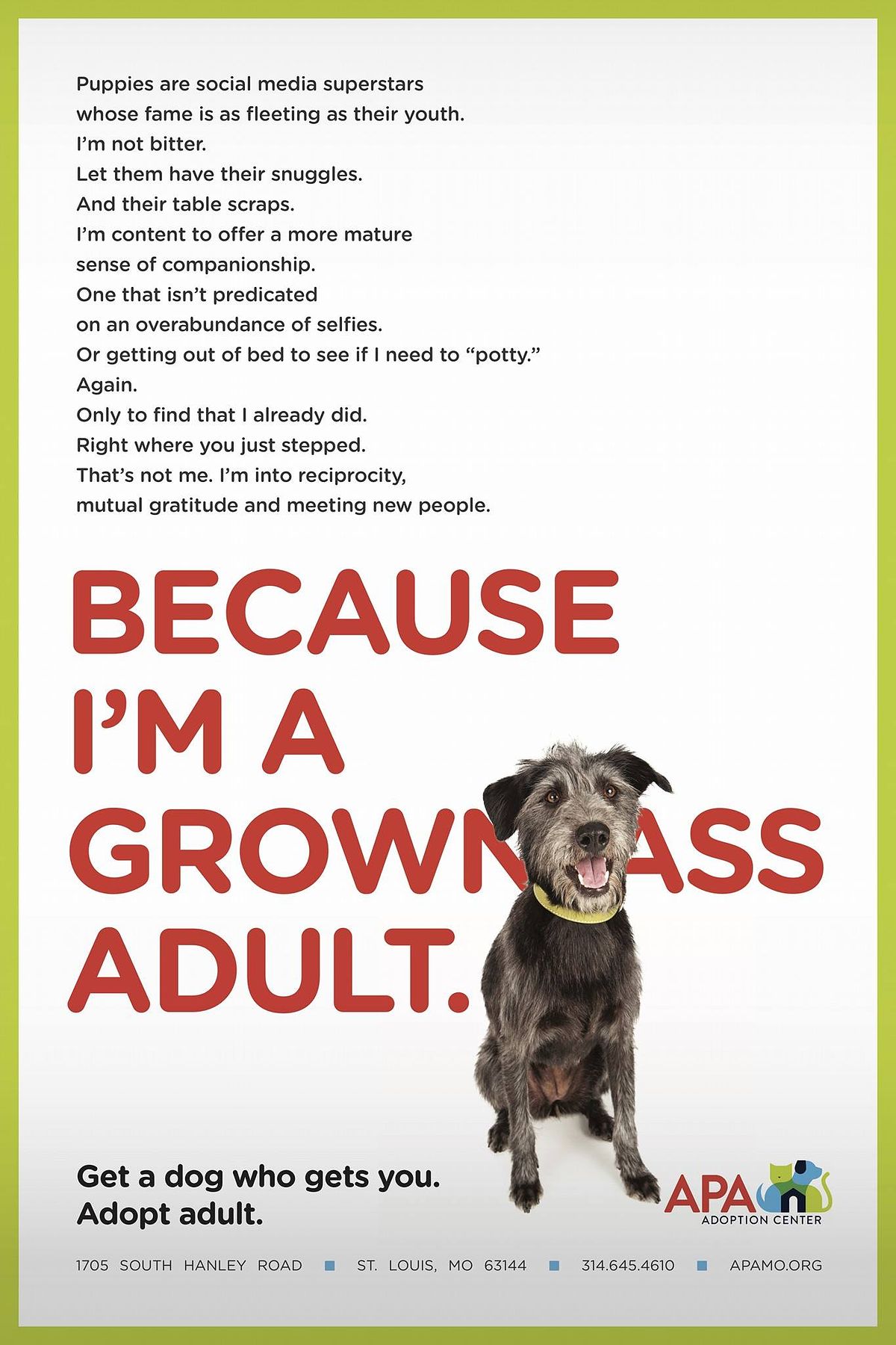 APA Adoption Center