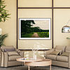 THE ONE - WILDLIFE & NATURE - "Tropical Road" - LIMITED EDITION 5 of 5