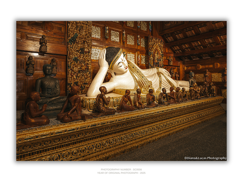 COLLECTION - SACRED DETAILS HORIZONTAL - "The Reclining One" - LIMITED EDITION 10 of 10