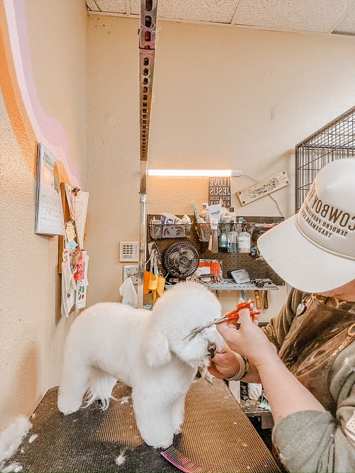Dog Grooming