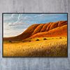 Wildflowers of Outback