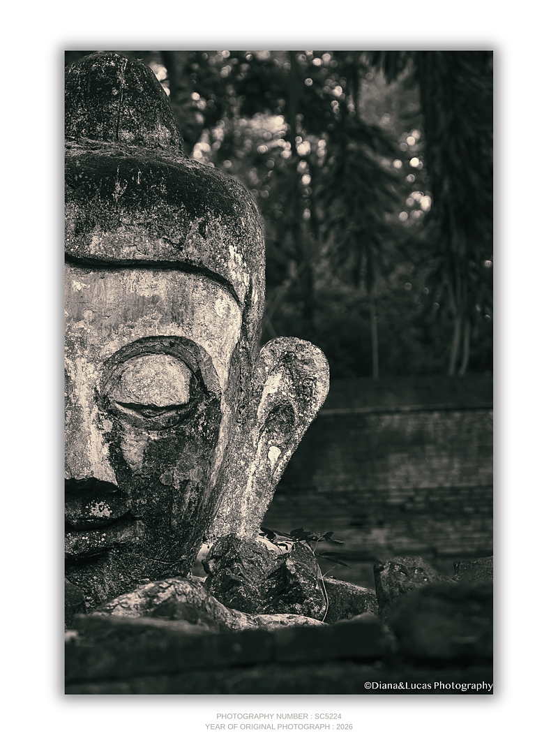 THE ONE - QUIET ICONS - "Half Seen" - LIMITED EDITION 5 of 5