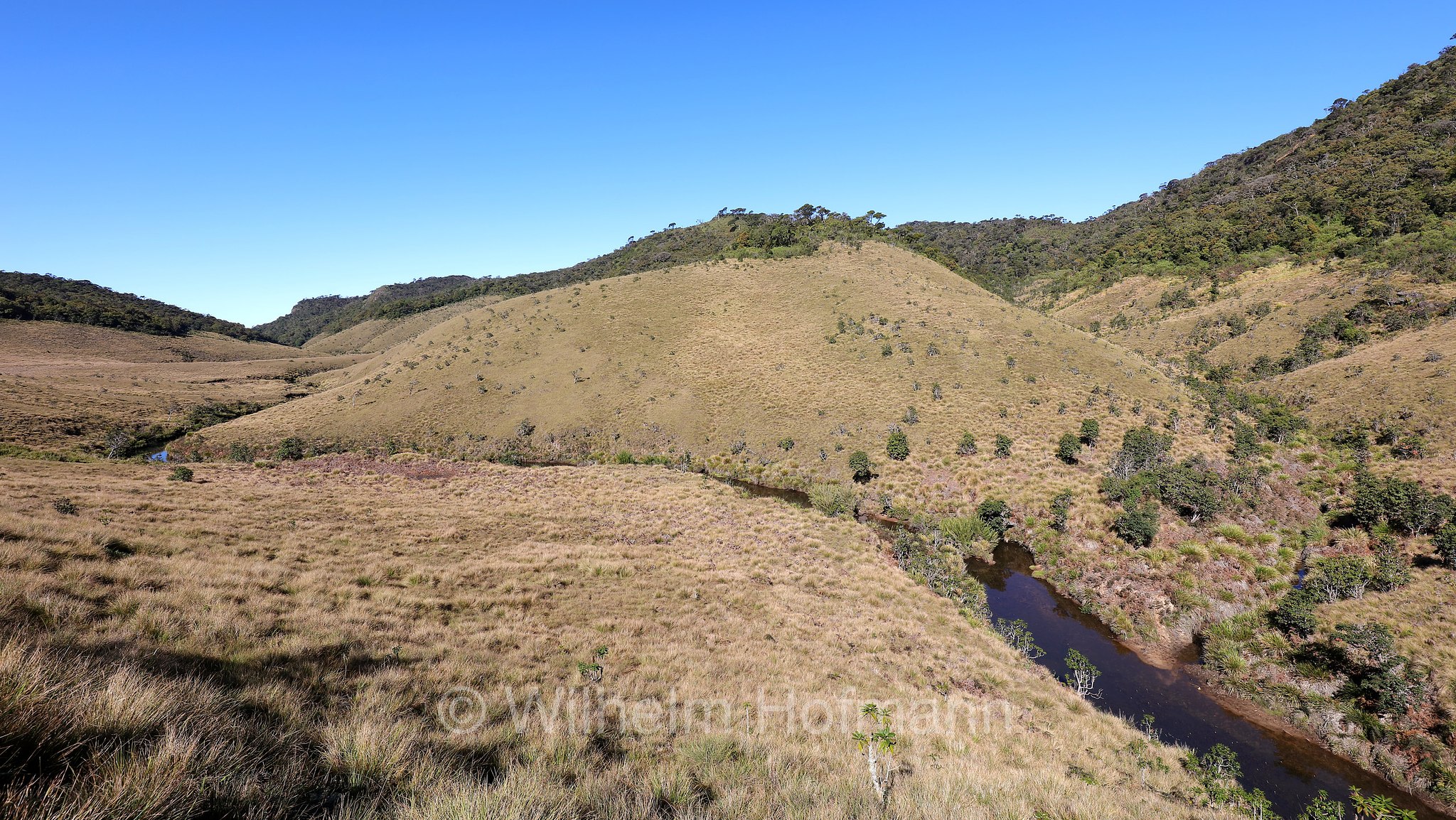 Horton Plains National Park, Horton-Plains-Nationalpark, parco nazionale Horton Plains, Sri Lanka