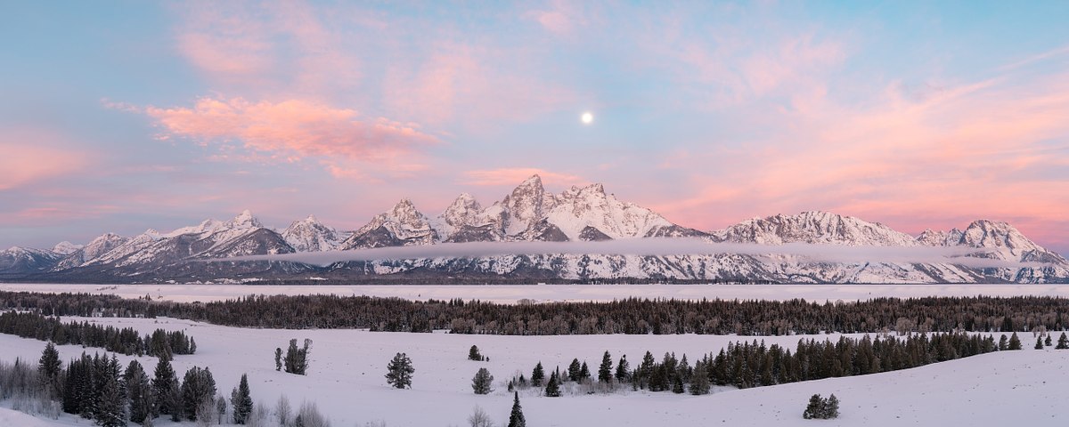 New-Dawn