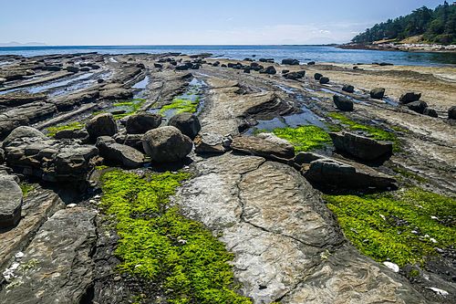 VANCOUVER ISLAND