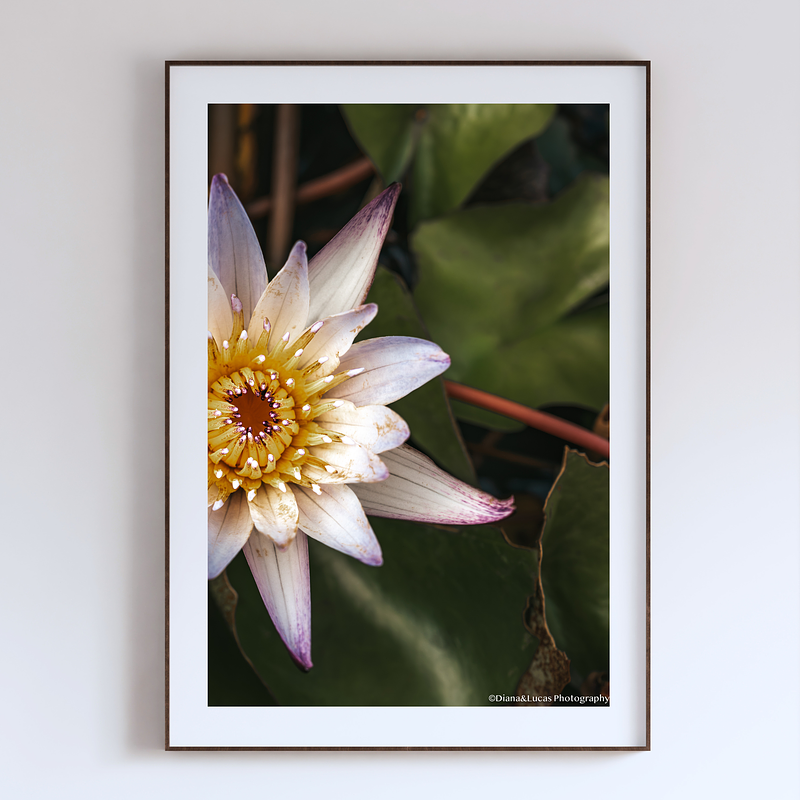 THE ONE - WILDLIFE & NATURE - "From Side" - LIMITED EDITION 5 of 5