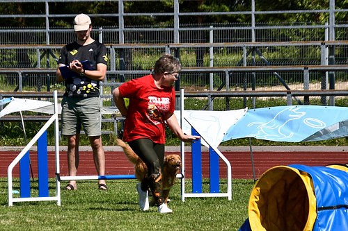 koerte frisbi voistlus 2026