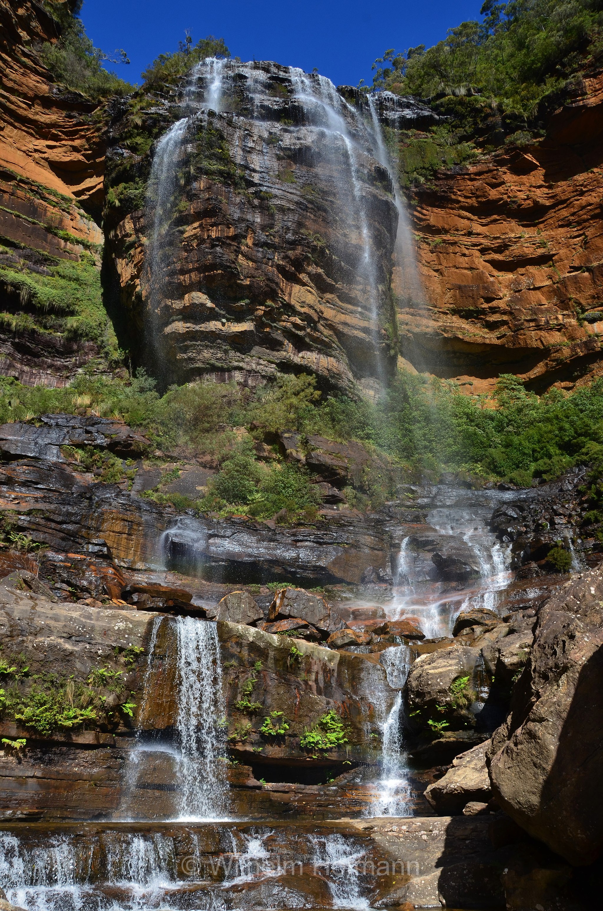 Upper Wentworth Falls, Blue Mountains, Blue Mountains National Park, Blue-Mountains-Nationalpark, New South Wales, Nuovo Galles del Sud, Australia, Australien