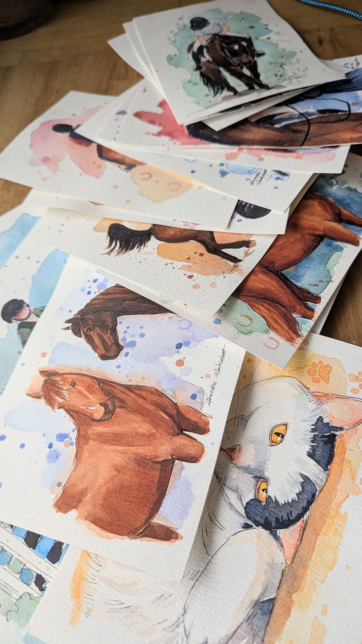 Annika's Sketchbook
