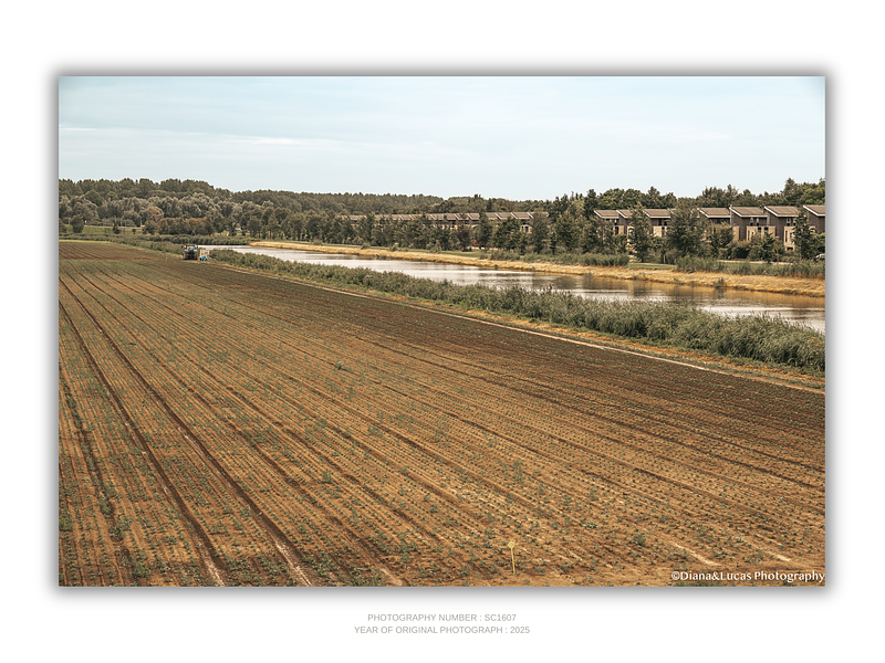 THE ONE - LINES & SHAPES - "Straight Lines" - LIMITED EDITION 5 of 5