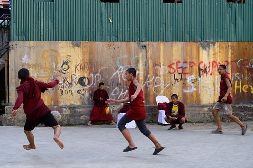PARTICIPANTS WILL PRACTICE