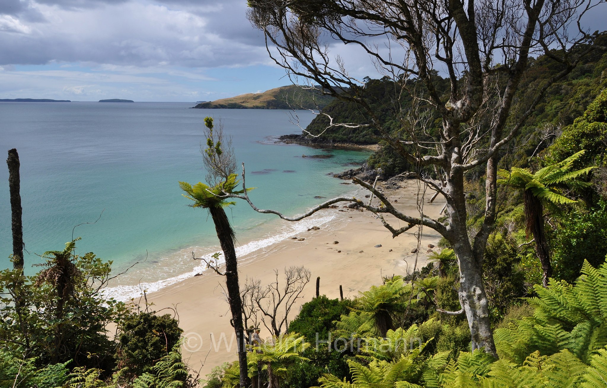 Rakiura, Rakiura Track, Rakiura National Park, Rakiura-Nationalpark, Parco nazionale Rakiura, Stewart Island, Stewartinsel, Isola Stewart, New Zealand, Neuseeland, Nuova Zelanda
