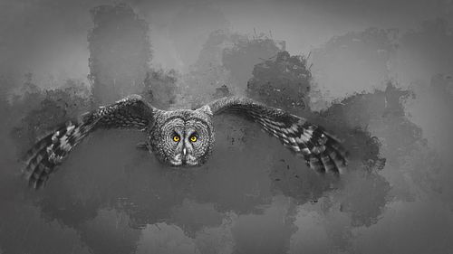 Yellow Eyes