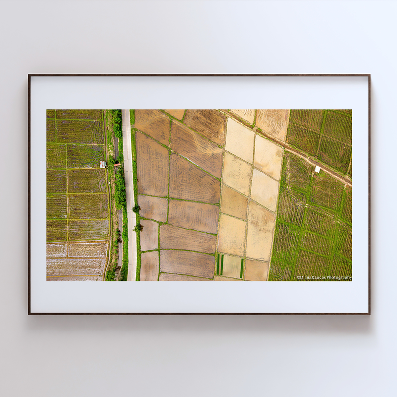THE ONE - AERIAL PRINTS - "Separated Patches" - LIMITED EDITION 5 of 5